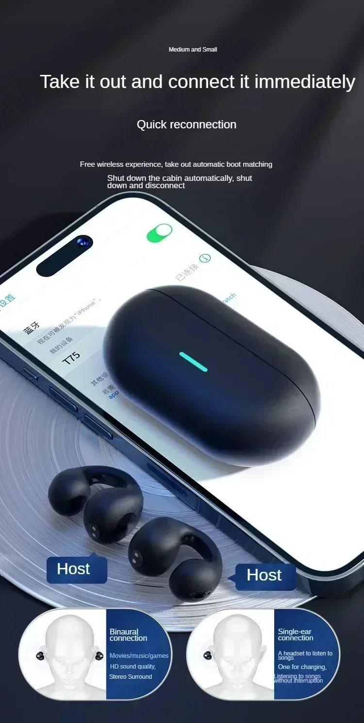 Clip-On Bluetooth 5.3 Earphones with Noise Cancelling & Charging Case