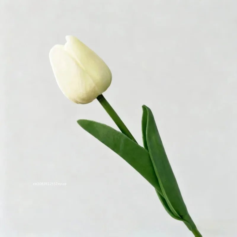 Milkwhite