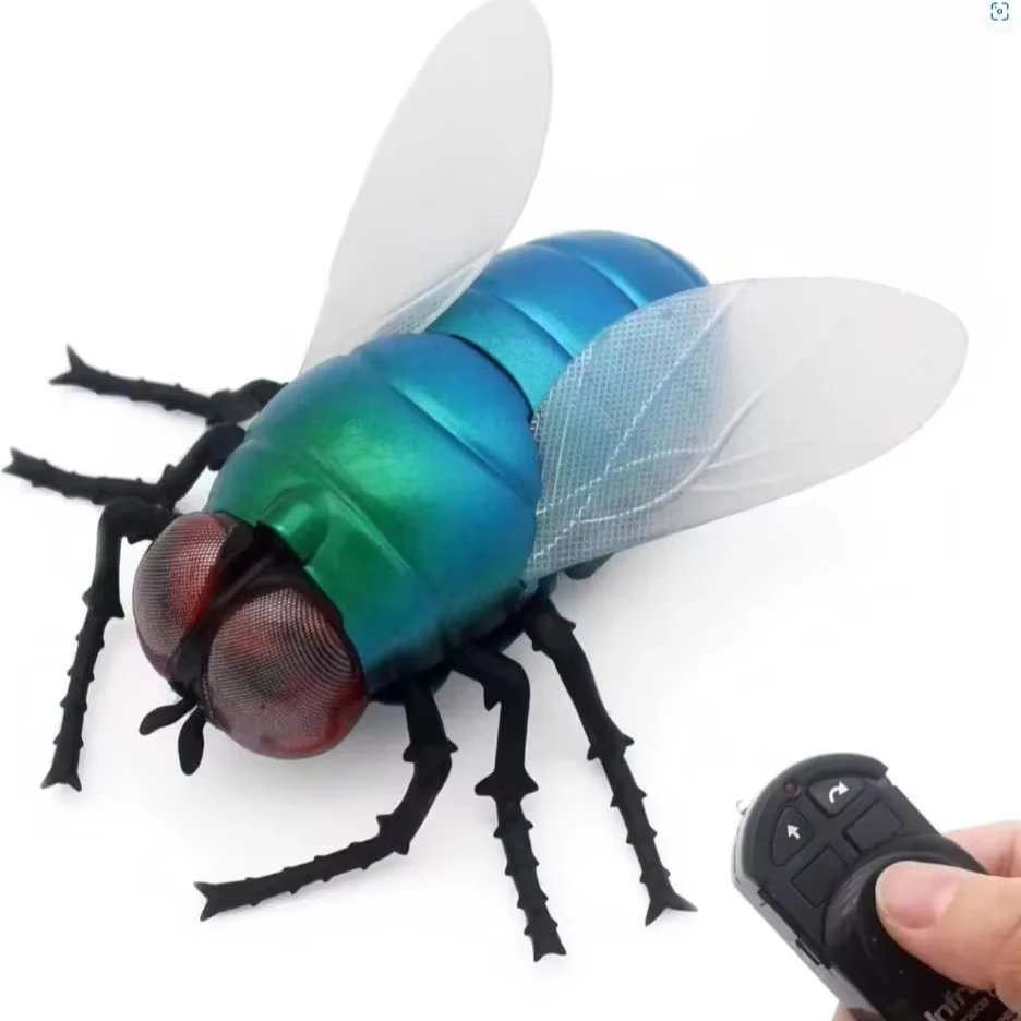 Fly with box