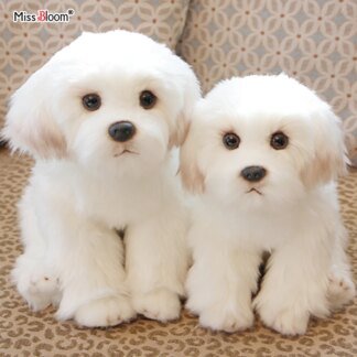 Maltese Stuffed Dog Plush Toy – Adorable, Must-Have Cuddly Gift