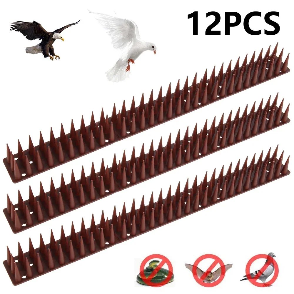 12Pcs
