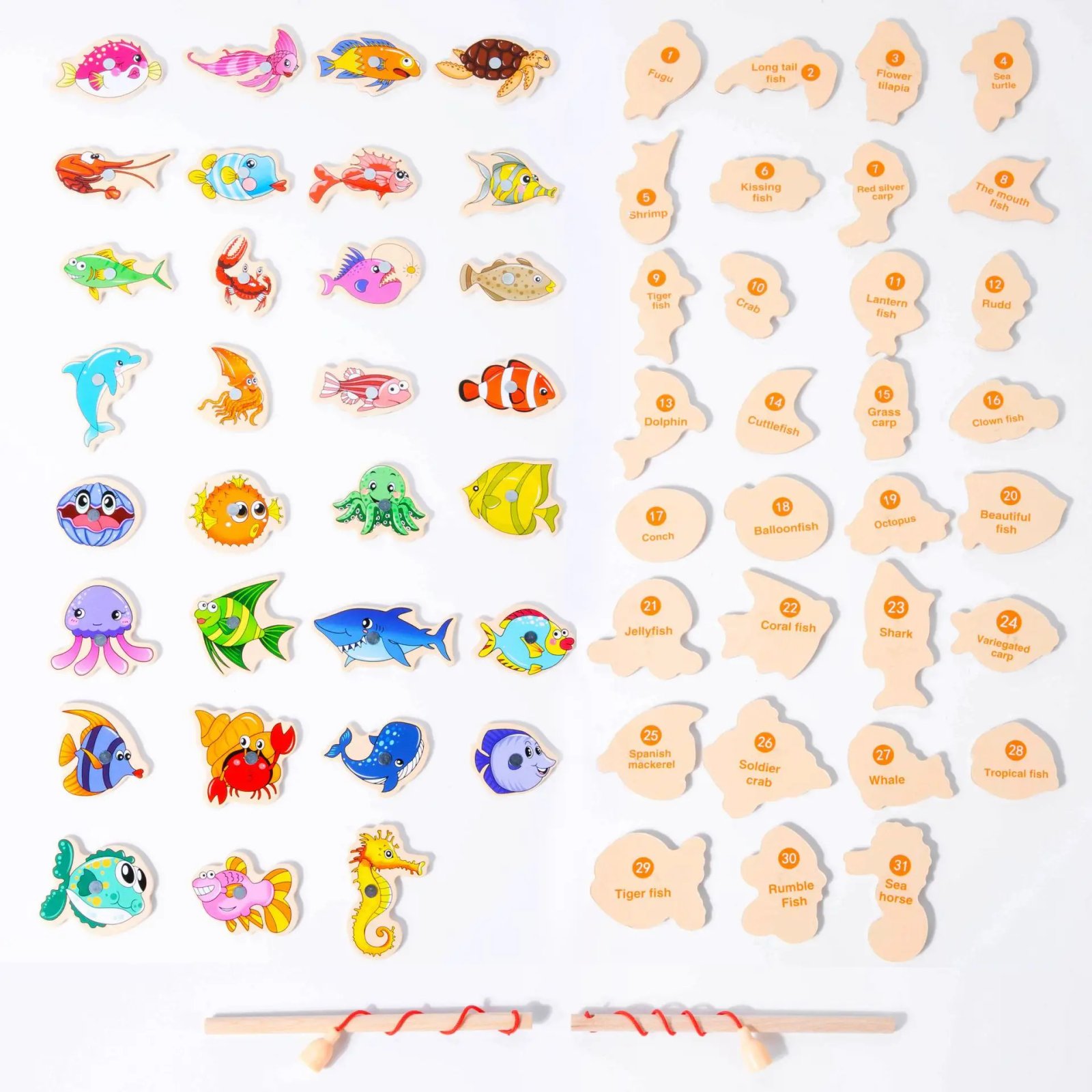 31 Random Fish