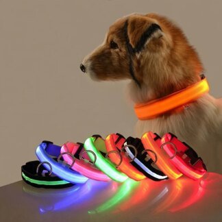 LED Dog Leash: Best Glow-in-Dark Safety Essential for Dogs